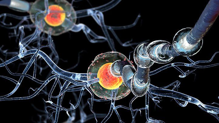 understanding-autoimmunity-722x406